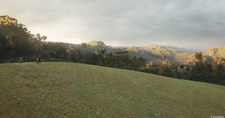 Avengers: Wojna bez granic