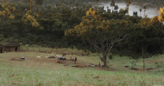 Avengers: Wojna bez granic