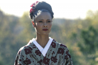 Westworld - sezon 2. odcinek 5. - zdjęcie