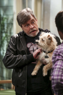 Teoria wielkiego podrywu - zdjęcie z finałowego odcinka 11. sezonu