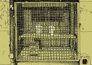 Beneficio – plansza 1