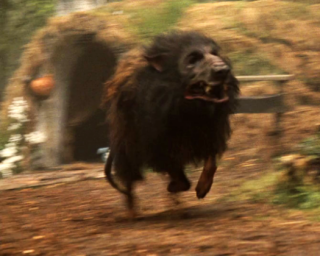 Powrót do przeszłości: zdjęcia z planu filmu Willow