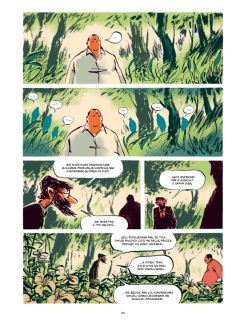 Twierdzi Pereira - plansza