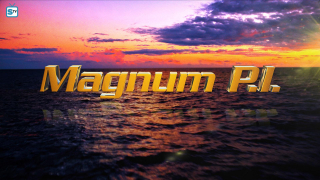 Magnum 2018
