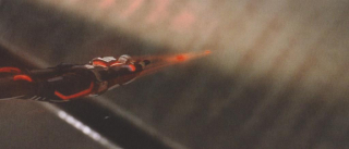 Ant-Man i Osa - grafiki koncepcyjne