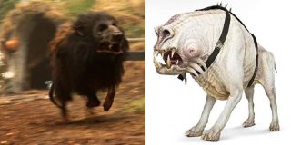 Koreliańskie psy - scenarzyści potwierdzili, że miały być one nawiązaniem do psów z "Willow". Decyzja o tym została podjęta zanim Ron Howard dołączył do ekipy