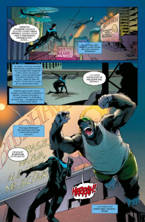 Nightwing #02. Blüdhaven - plansza