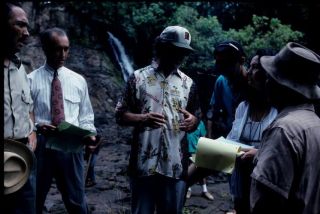 Park Jurajski - zdjęcie z planu