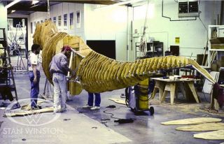 Park Jurajski - zdjęcie z planu