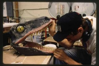 Park Jurajski - zdjęcie z planu