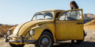 Bumblebee - zdjęcie