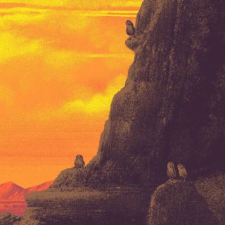 I Will Not Be The Last Jedi