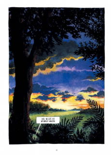 Piękna ciemność - plansza