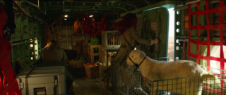 Aquaman - zdjęcia ze zwiastuna