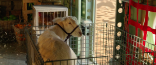 Aquaman - zdjęcia ze zwiastuna