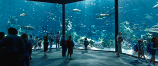 Aquaman - zdjęcia ze zwiastuna