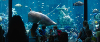 Aquaman - zdjęcia ze zwiastuna