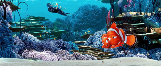 Gdzie jest nemo