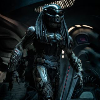 Predator - zdjęcie