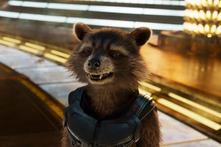 Rocker Raccoon