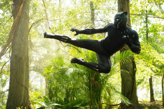 Avengers: Wojna bez granic