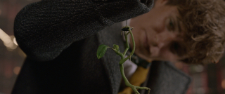 Fantastyczne zwierzęta: Zbrodnie Grindelwalda