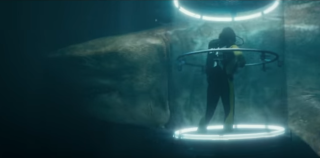 8. Meg - 473 mln dolarów