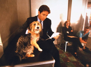 Z Archiwum X - Zdjęcia z planu