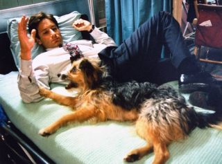 Z Archiwum X - Zdjęcia z planu