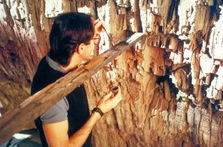 Indiana Jones: Ostatnia krucjata - zdjęcie zza kulis