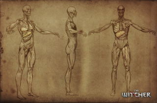 Wiedźmin 3 - Focus Mode