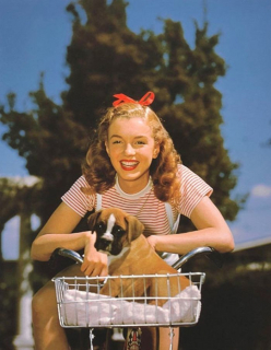 Marilyn Monroe - sesja zdjęciowa