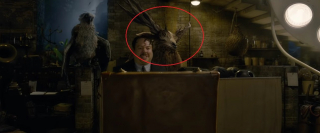 Fantastyczne zwierzęta: Zbrodnie Grindelwalda