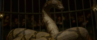 Fantastyczne zwierzęta: Zbrodnie Grindelwalda