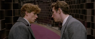 fantastyczne zwierzęta