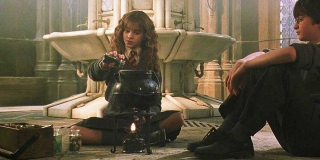 Eliksir wielosokowy - w filmie użył go Newt Scamander, który przybrał wygląd swojego brata, Tezeusza.