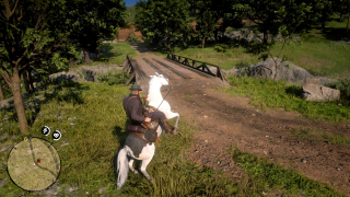 Red Dead Redemption 2 – mostek