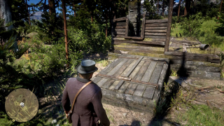 Red Dead Redemption 2 – ruiny