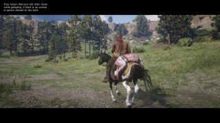 Red Dead Redemption 2 - screeny z gry