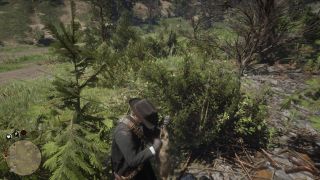 Red Dead Redemption 2 - screeny z gry