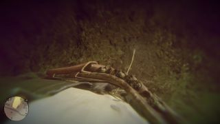 Red Dead Redemption 2 - screeny z gry