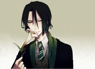 Harry Potter - bohaterowie jako postacie z anime