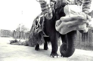 Gwiezdne Wojny - zdjęcia z planu oryginalnej trylogii