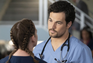 Chirurdzy: sezon 15. odcinek 9. - zdjęcie