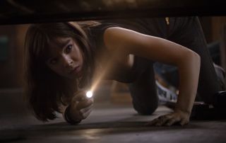 Bumblebee - zdjęcie