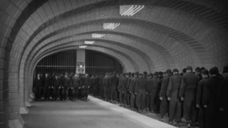 6. Metropolis