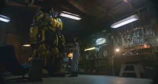 Bumblebee - zdjęcie