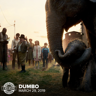 Dumbo - zdjęcie