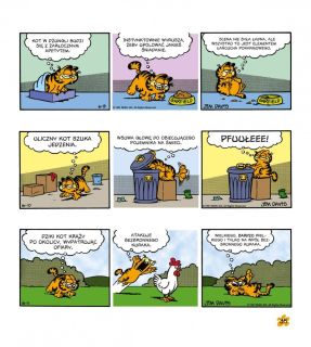 Garfield. Tłusty koci trójpak. Tom 2 - plansza
