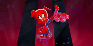 Gdy Spider-Ham żegna się z innymi Pajączkami, wypowiada angielskie "That's all Folks!", znane z kreskówkowych Zwariowanych melodii - zgodę na użycie tego zwrotu wydało studio Warner Bros.